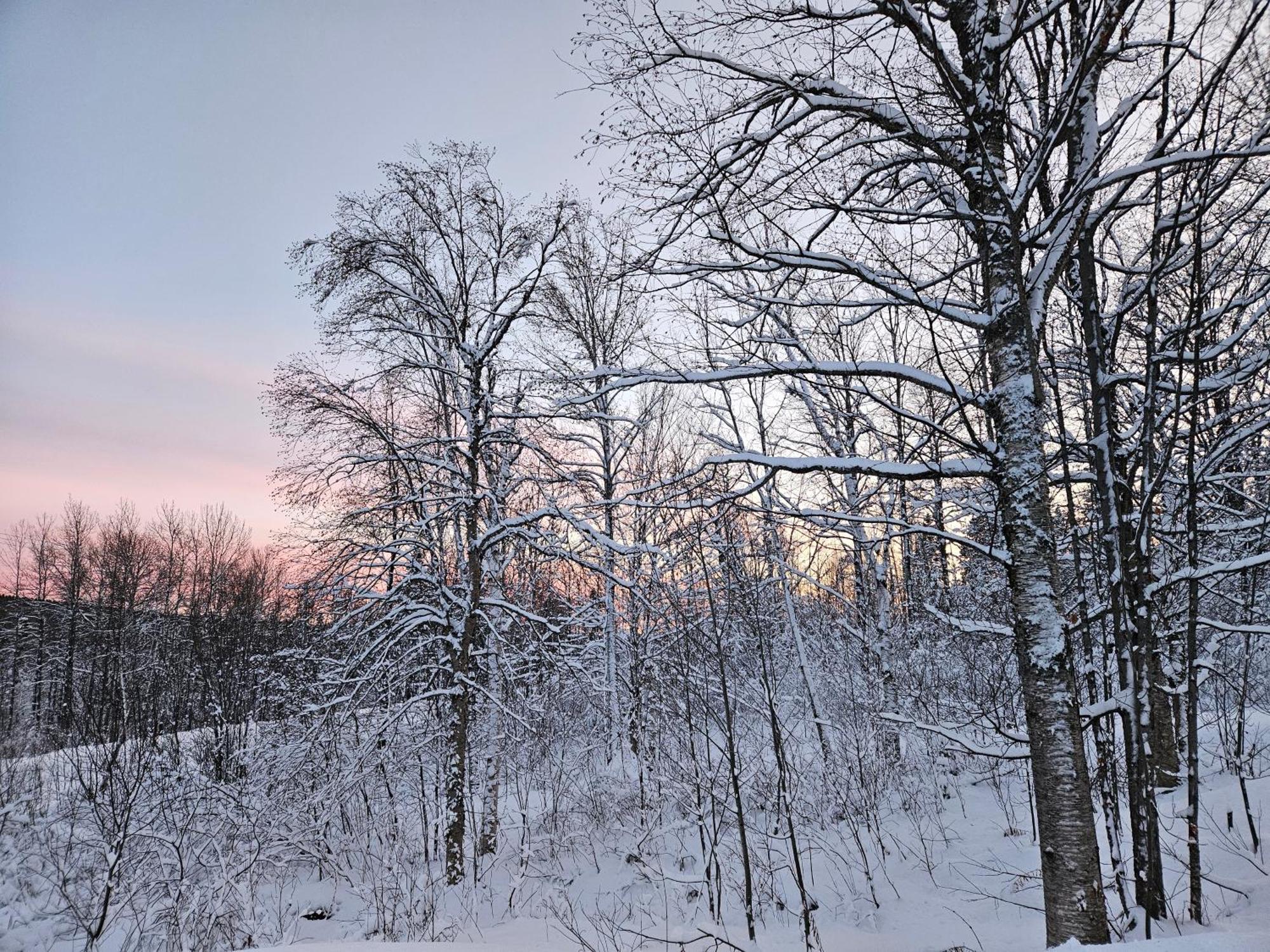 Parc Du Mont-Citadelle Villa Saint-Honore-de-Temiscouata ภายนอก รูปภาพ